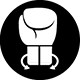 Icon 2