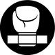 Icon 2