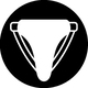 Icon 1