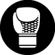 Icon 3