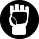 Icon 2