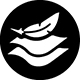Icon 3