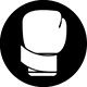 Icon 2
