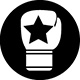 Icon 2